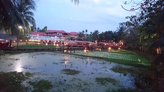 There's a restaurant that serves food at night, on the paddy field.